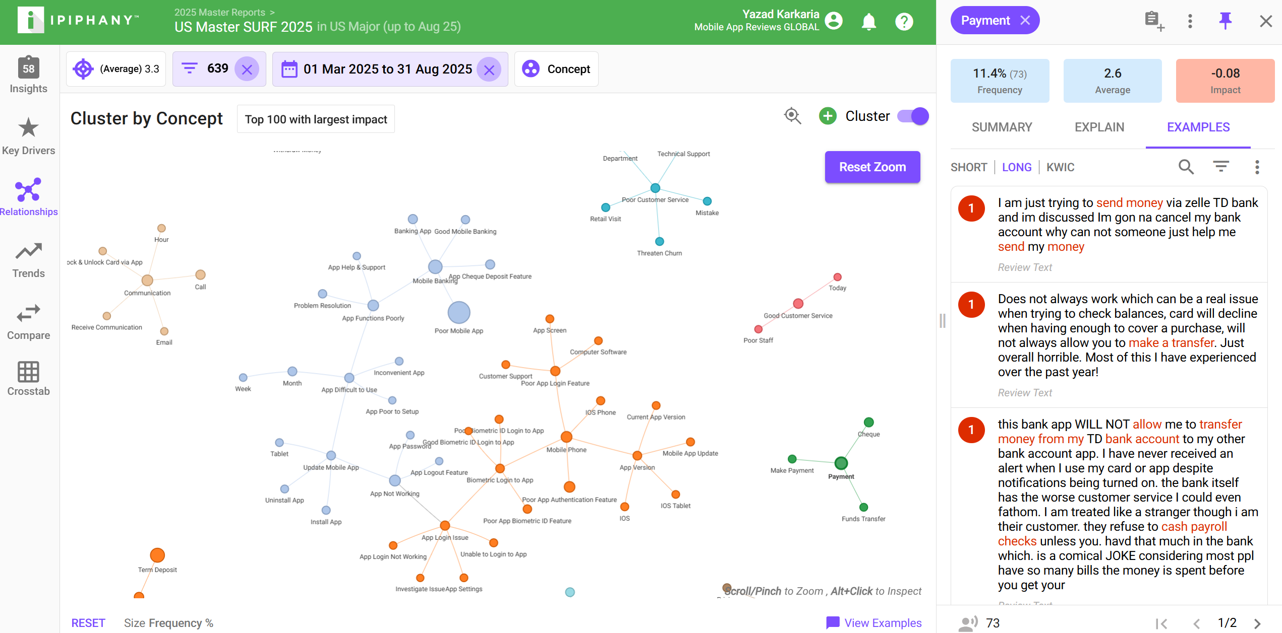 Dashboard of IPIPHANY showing clustered customer feedback concepts for US Master SURF 2025, with clusters on mobile banking, app login issues, poor customer service, communication, payments, and related user review excerpts.