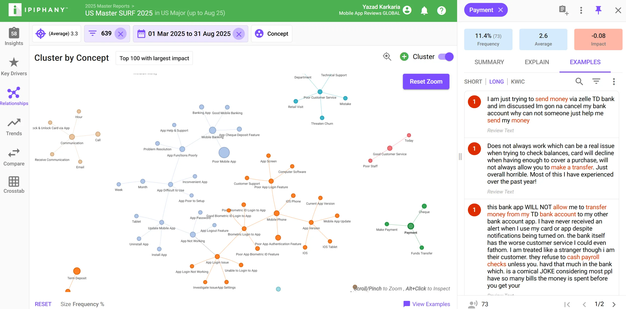 Dashboard of IPIPHANY showing clustered customer feedback concepts for US Master SURF 2025, with clusters on mobile banking, app login issues, poor customer service, communication, payments, and related user review excerpts.